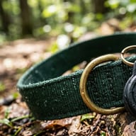 Belkin AirTag Pet Holder